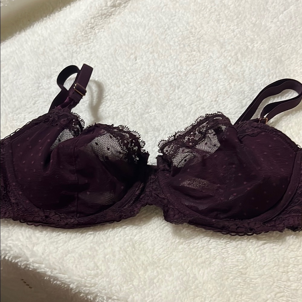Dream Angels Wicked Lace Underwire Bra in Deep Purple